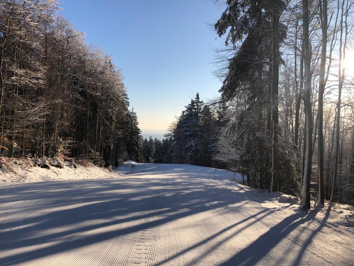 Chalet Anra Pohorje Zgornje Hoce Bagian luar foto