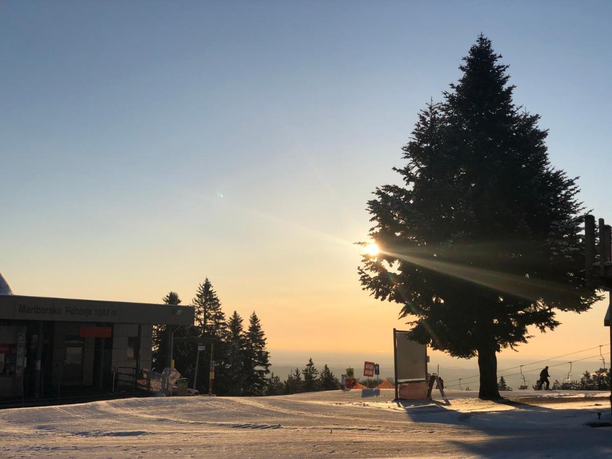 Chalet Anra Pohorje Zgornje Hoce Bagian luar foto