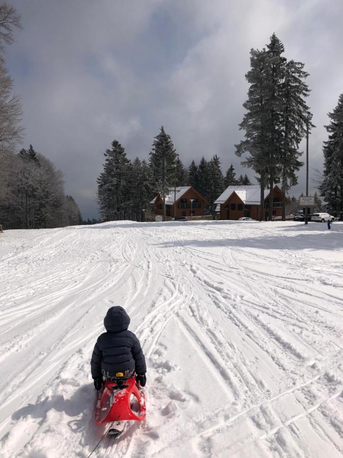 Chalet Anra Pohorje Zgornje Hoce Bagian luar foto