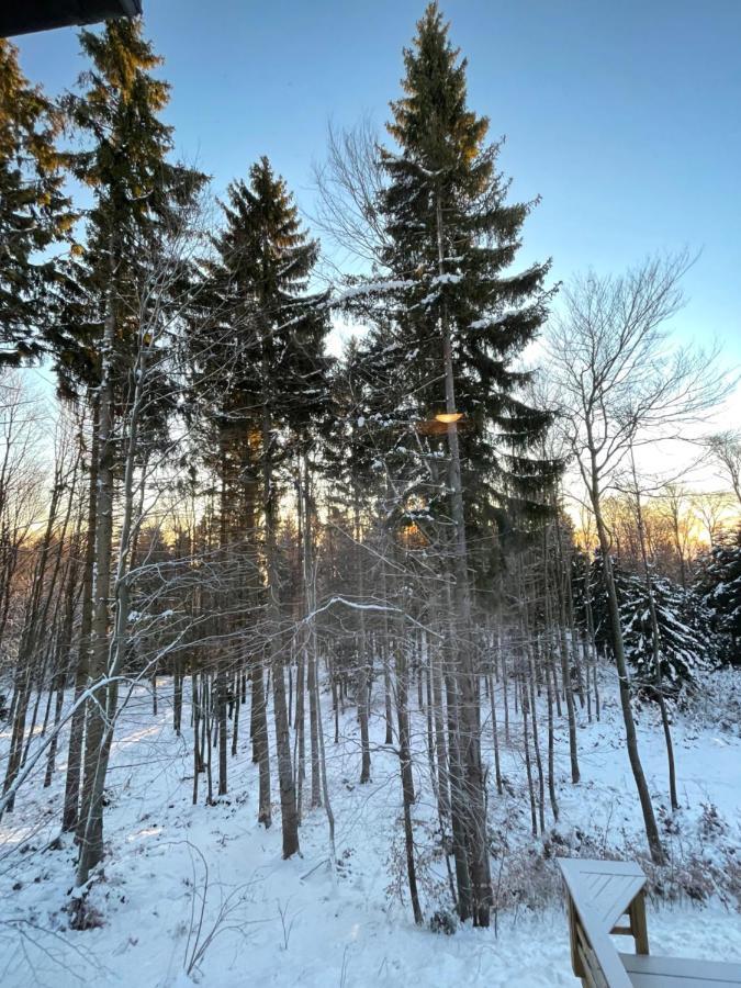 Chalet Anra Pohorje Zgornje Hoce Bagian luar foto
