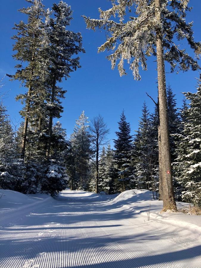 Chalet Anra Pohorje Zgornje Hoce Bagian luar foto