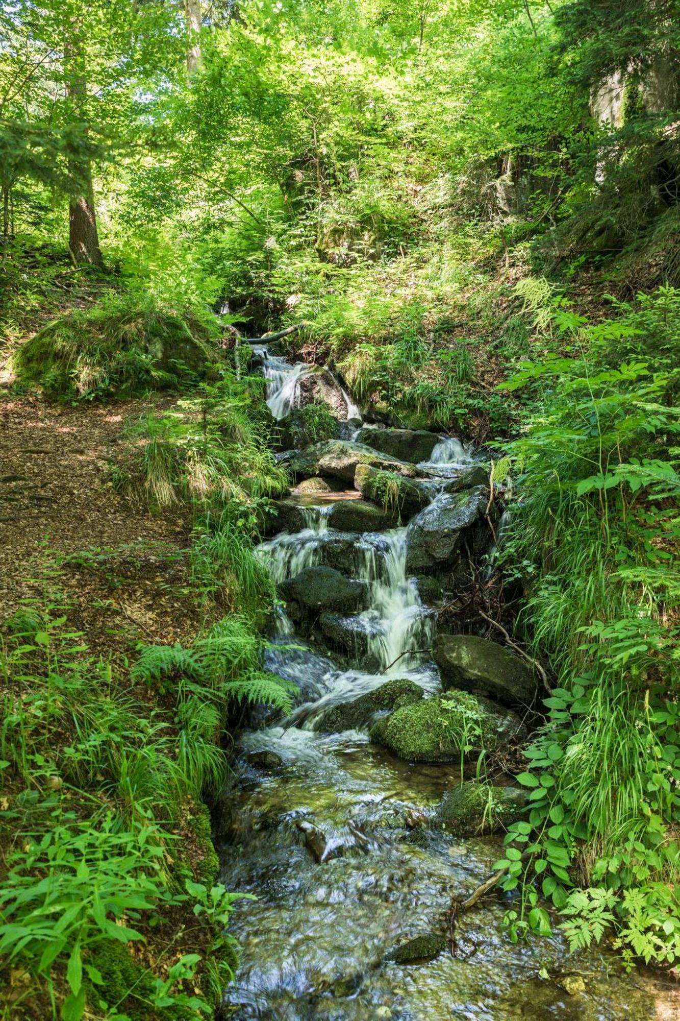 Chalet Anra Pohorje Zgornje Hoce Bagian luar foto