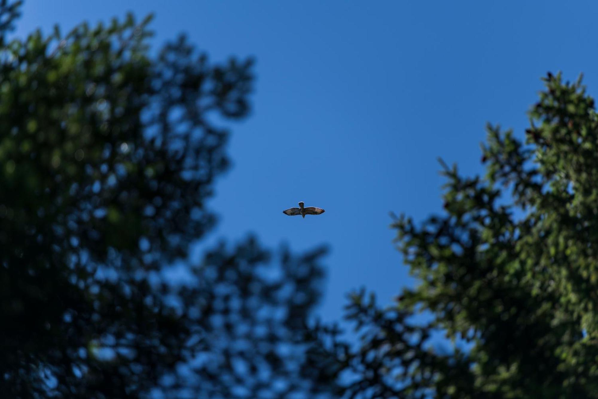Chalet Anra Pohorje Zgornje Hoce Bagian luar foto