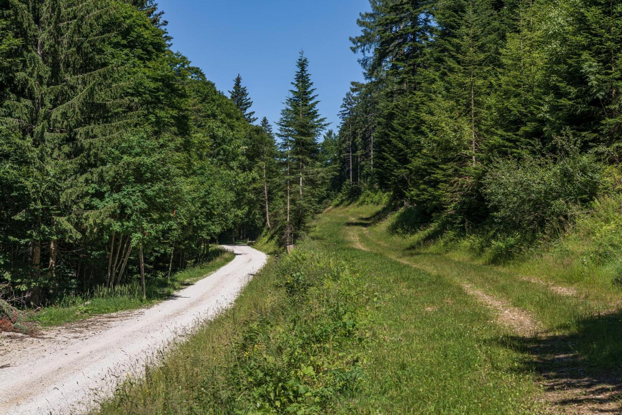 Chalet Anra Pohorje Zgornje Hoce Bagian luar foto