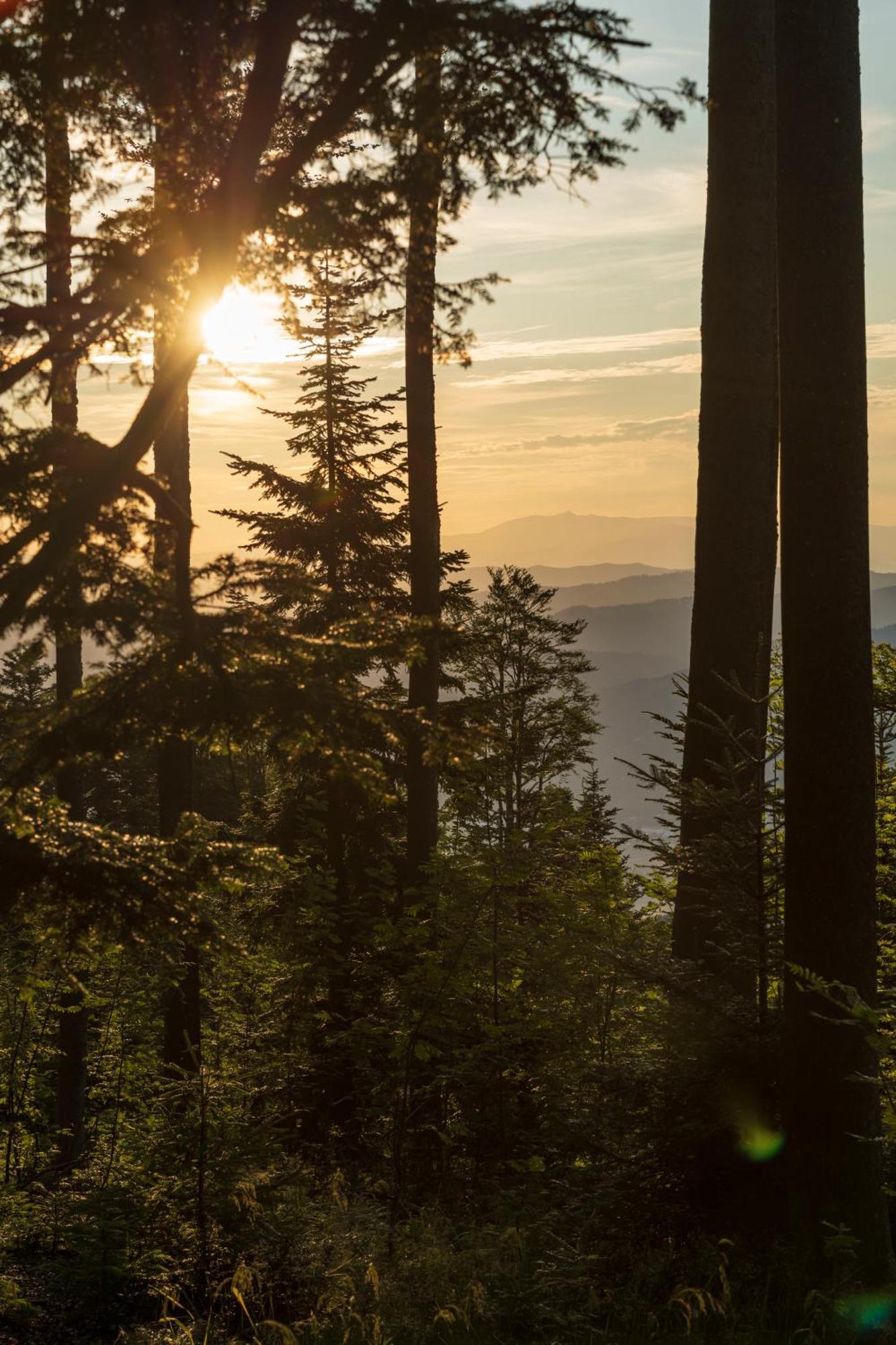 Chalet Anra Pohorje Zgornje Hoce Bagian luar foto